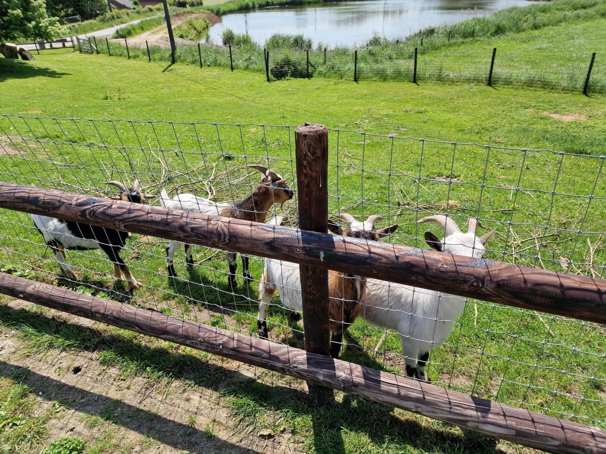 Gite des étangs à Montzen Plombières Esterno foto